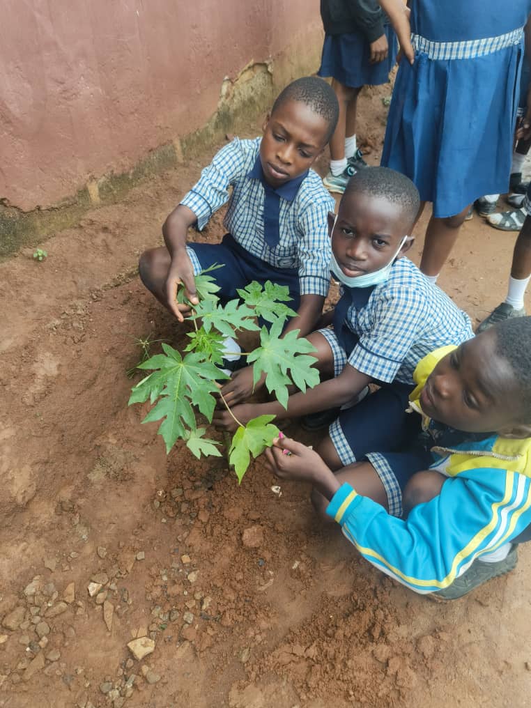 Humane Global Network Inspires Children Through Practical Tree Planting for Stewardship